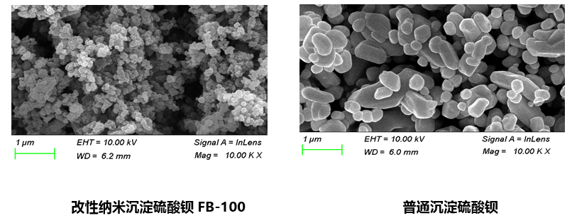 5581693554607298.png 圖片58.png